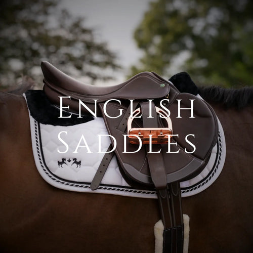 English Saddle on Horse Back
