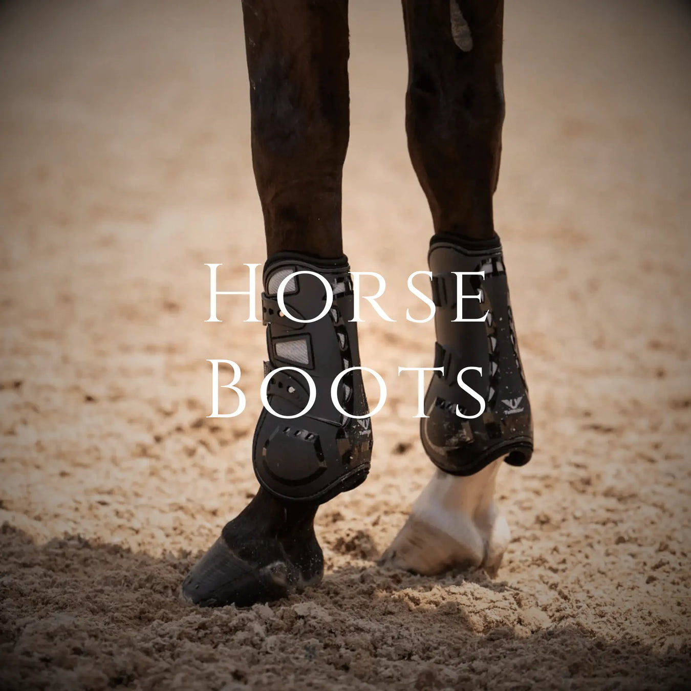 Horse wearing boots