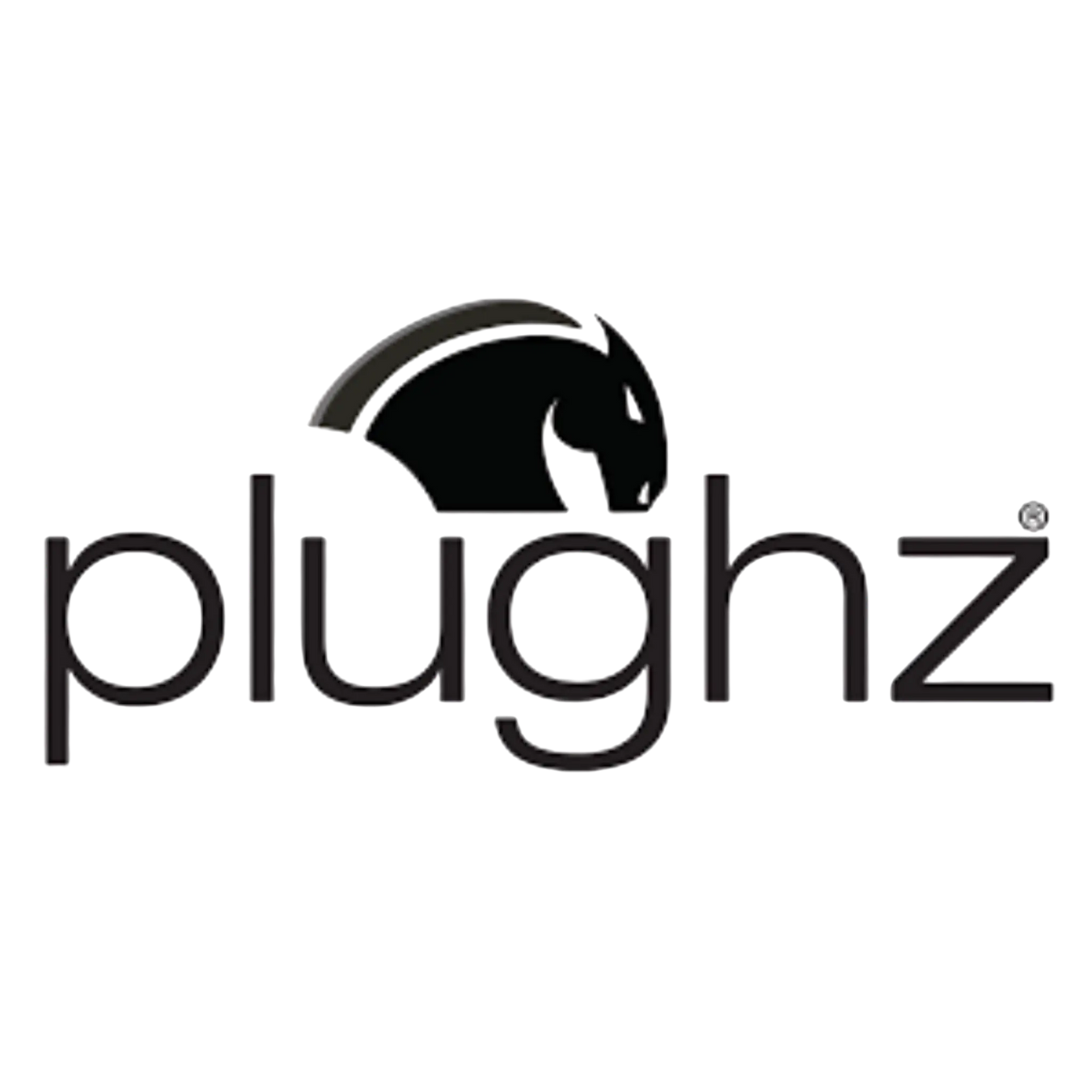 Plughz