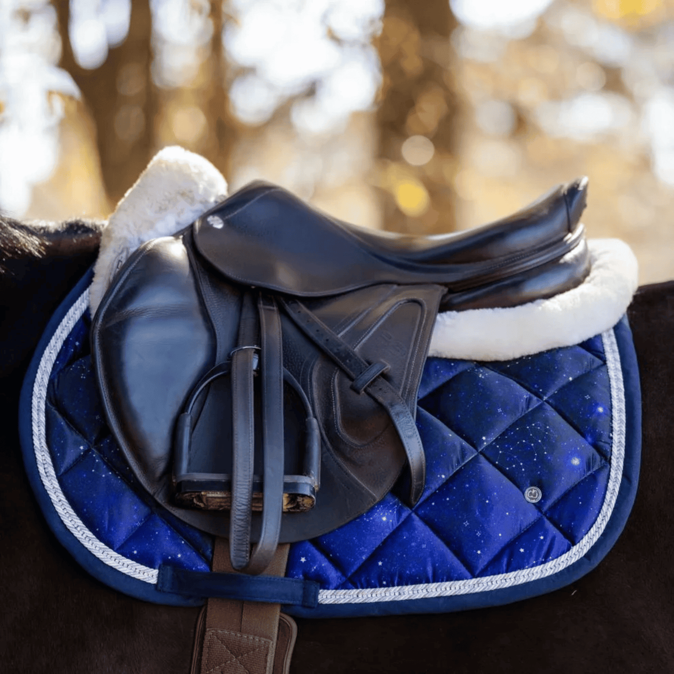 Saddle pad and saddle on horses back