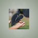 Kieffer Vario trekking saddle, on the One-Eyed Equine branded background