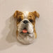 3D Dog Head Magnets product photo