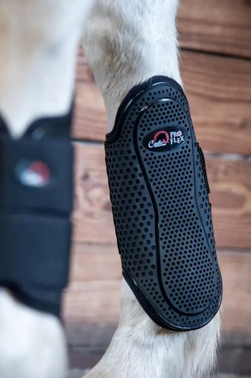 Black sprint boot on a horse's hoof with 'Pro Flex' branding.