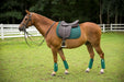 Horse with a saddle and green leg wraps standing on grass with a white fence and trees in the background
