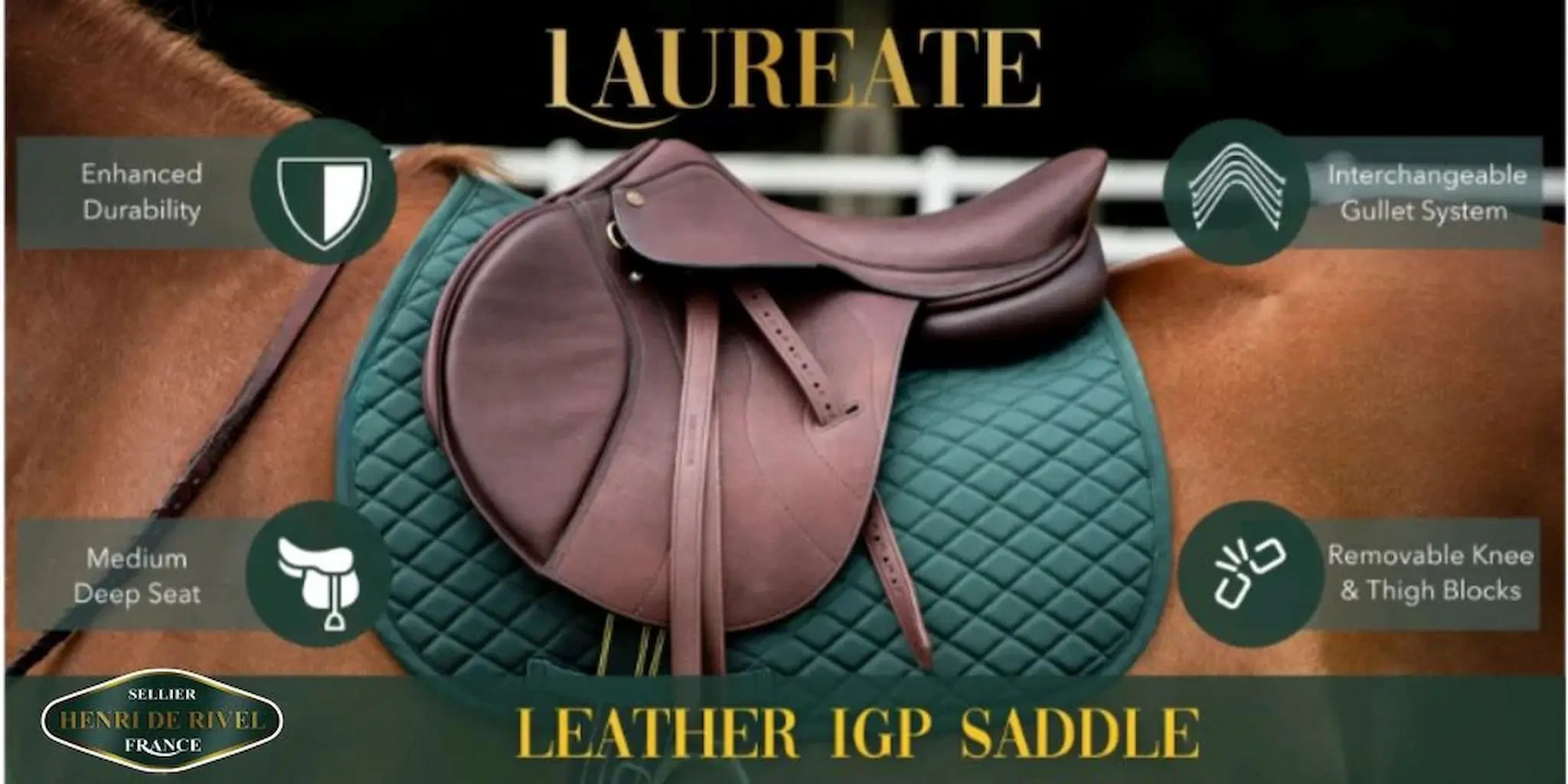 Leather IGP saddle with features highlighted on a horse, branded 'Laureate'.