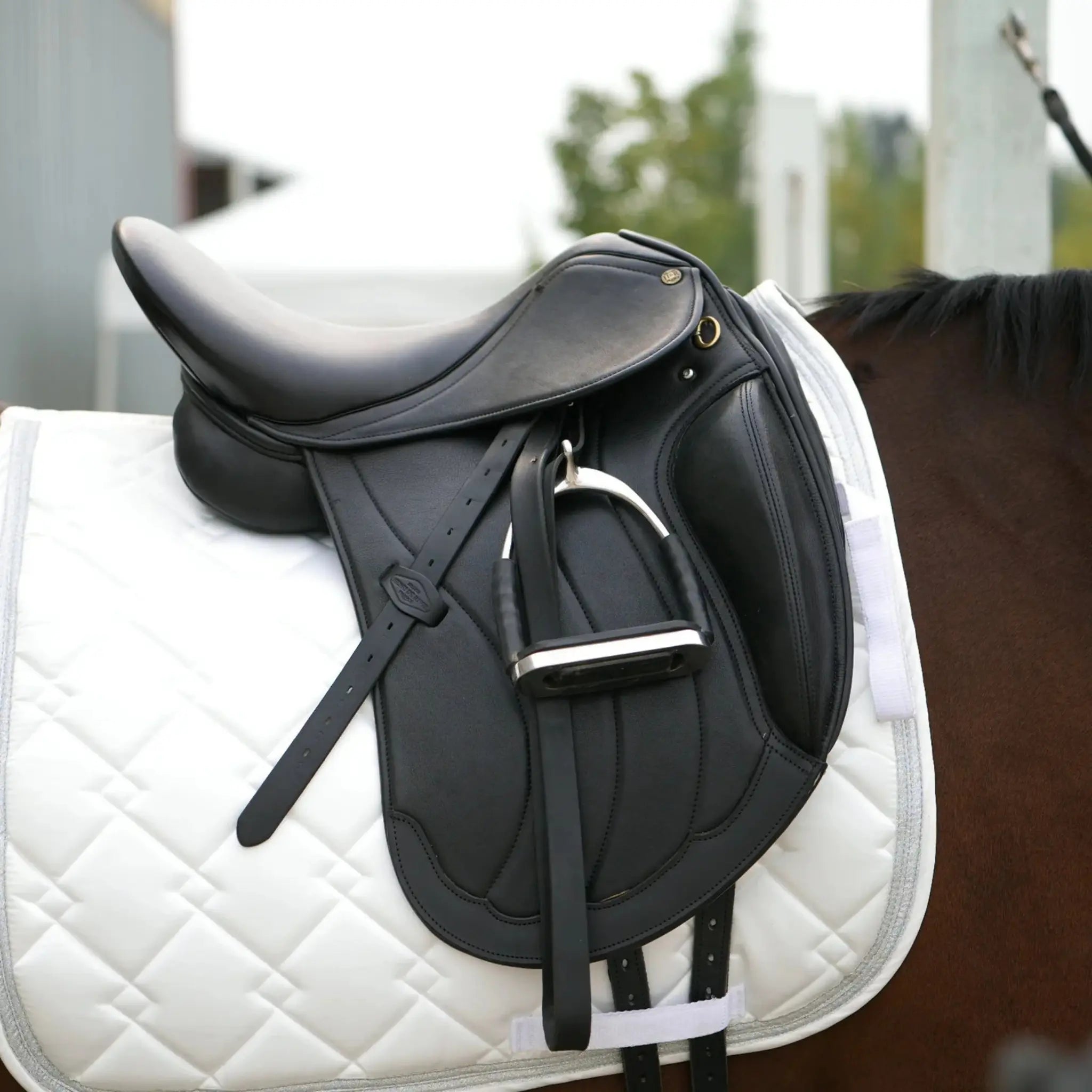 Black saddle on a white saddle pad with a horse in the background