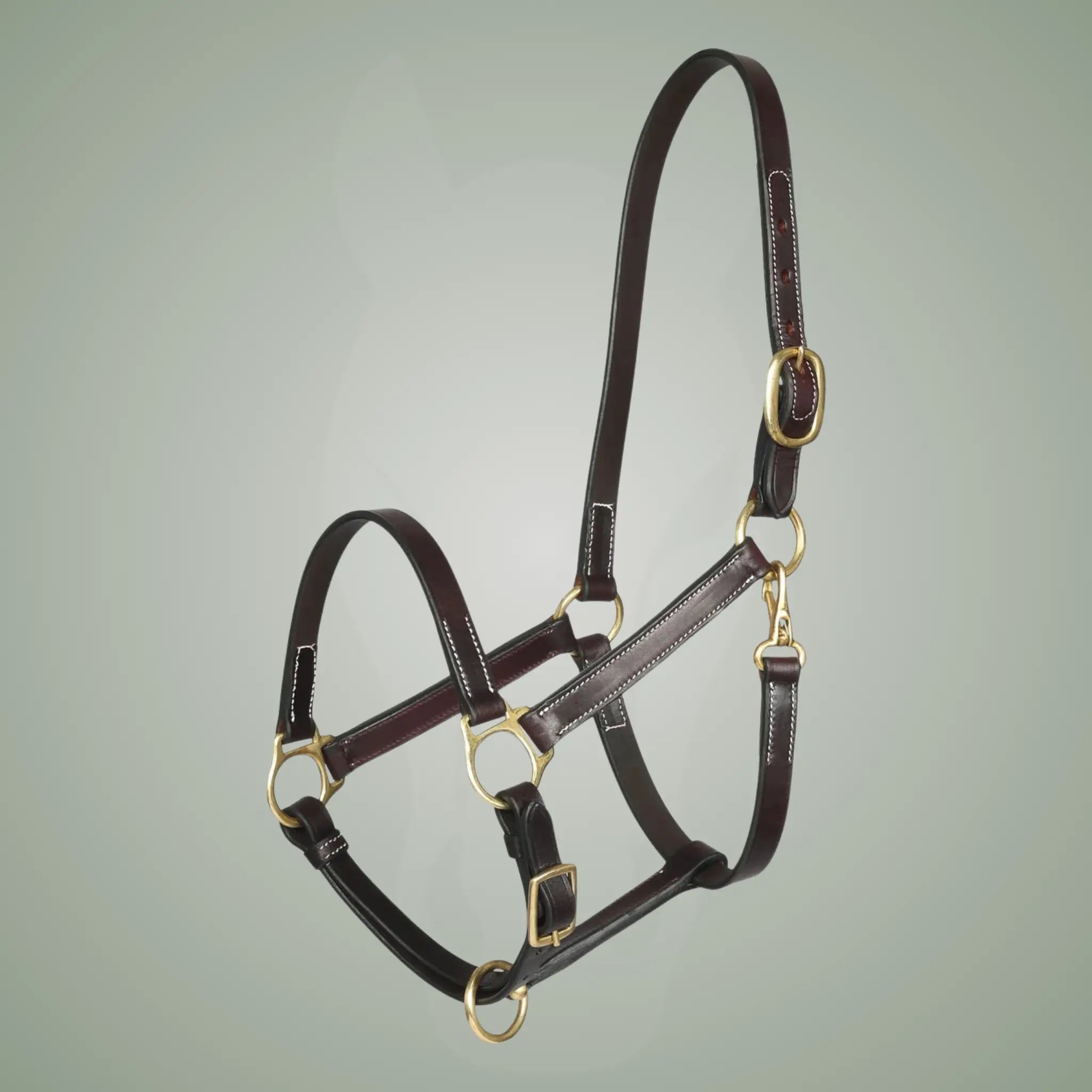 Brown leather horse halter with gold hardware on a gray background