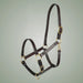 Brown leather horse halter with gold hardware on a gray background