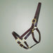 Brown leather horse halter with gold hardware on a gray background