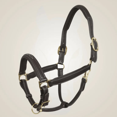 Leather horse halter with gold hardware on a light gray background