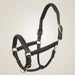 Leather horse halter with gold hardware on a light gray background
