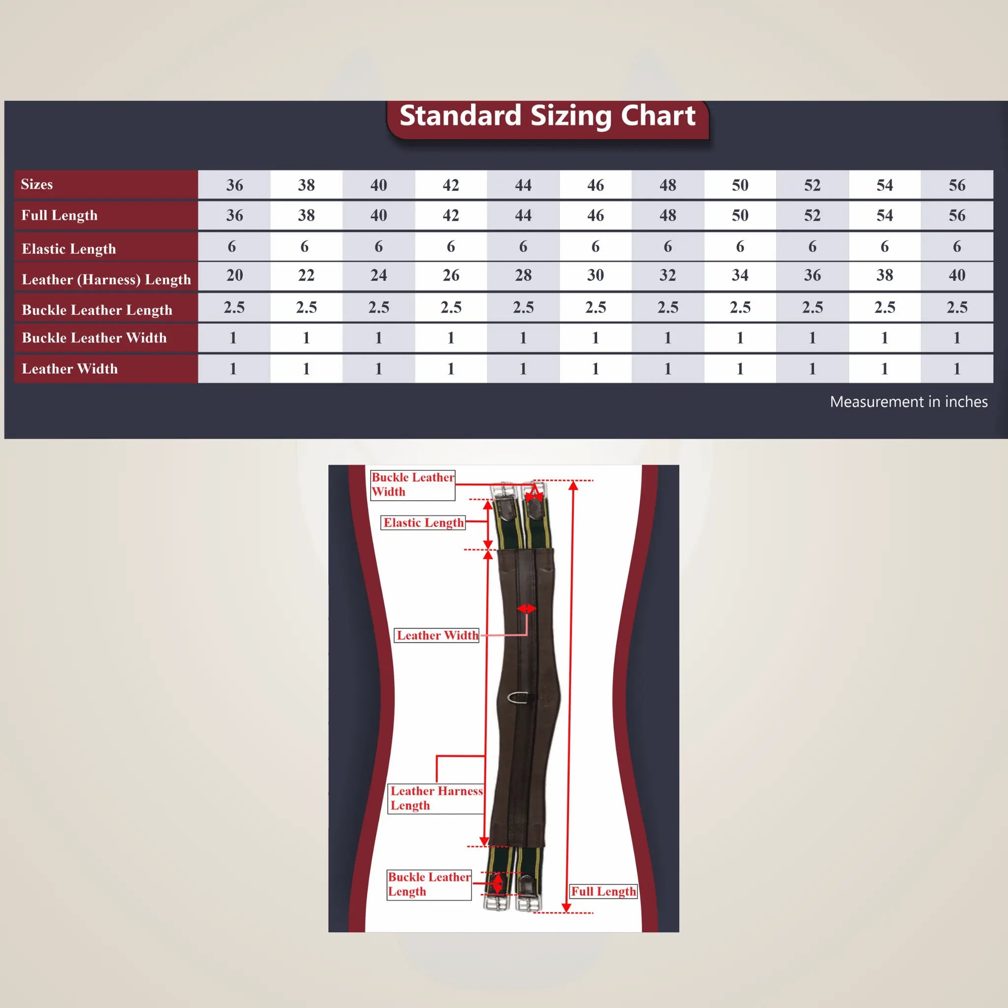 Standard sizing chart for equestrian equipment with measurements in inches