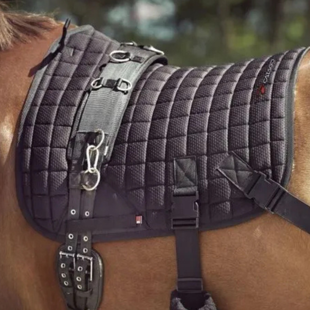 Gray quilted saddle pad on a horse with a blurred natural background