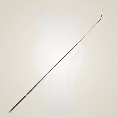 Long, thin black object on a light beige background