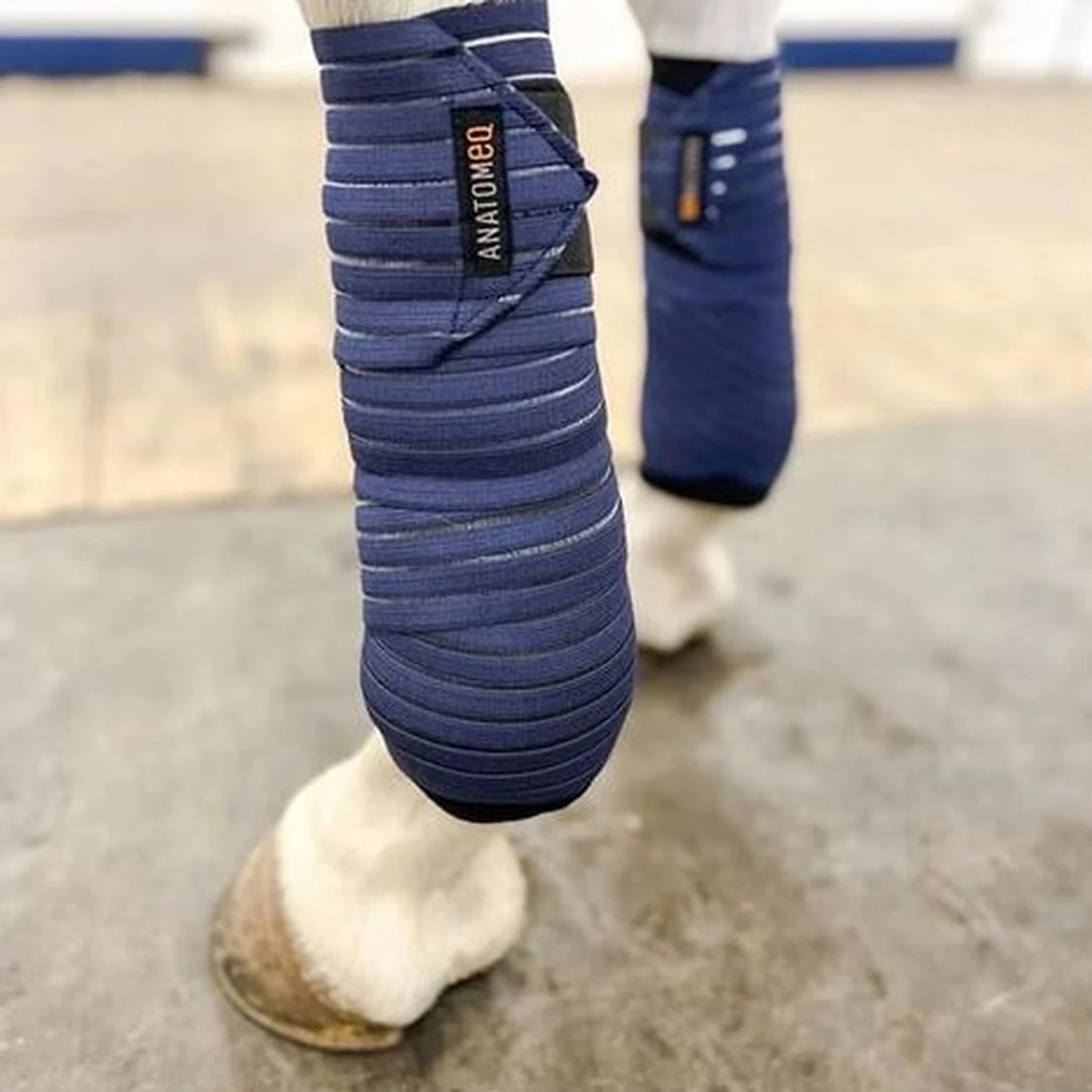 Anatomeq CoolSupport Combi Polos product photo
