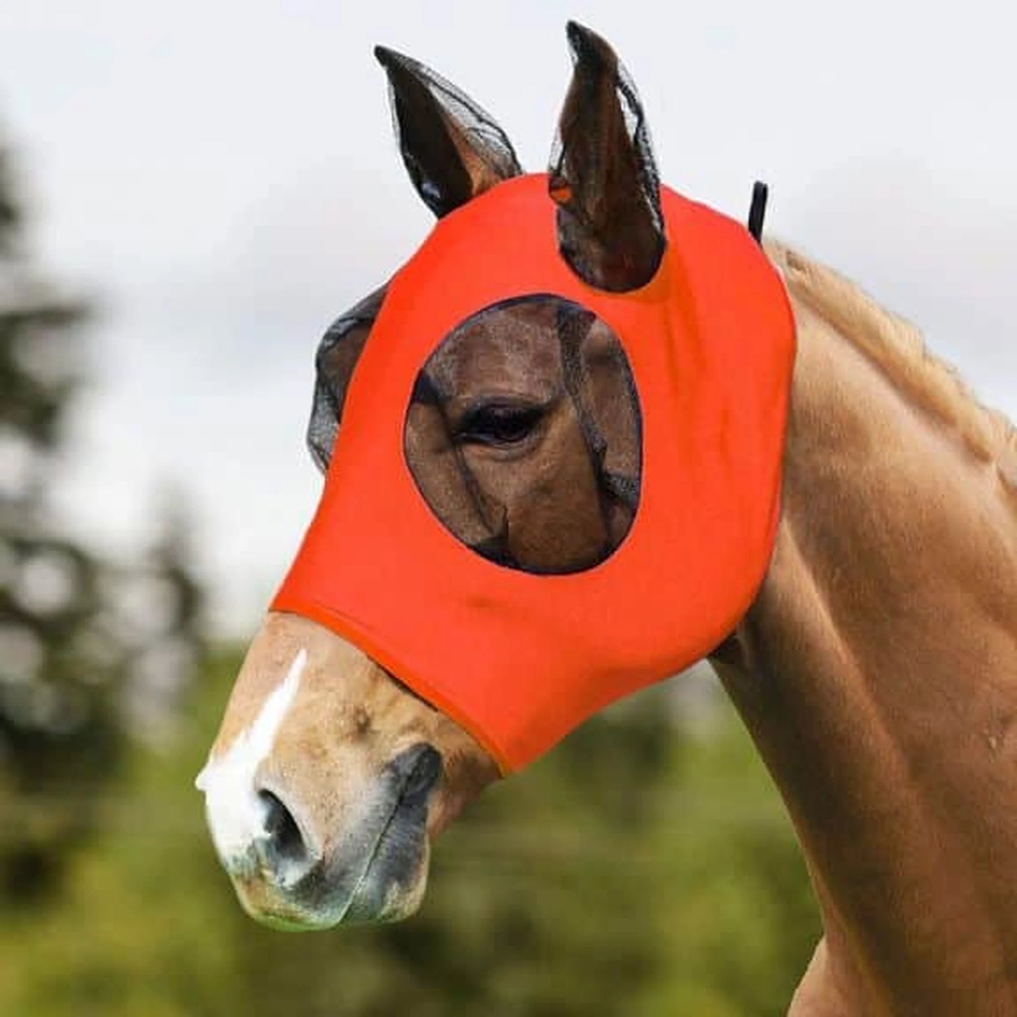 Canadian Horsewear Comfort Fit Lycra Fly Mask product photo