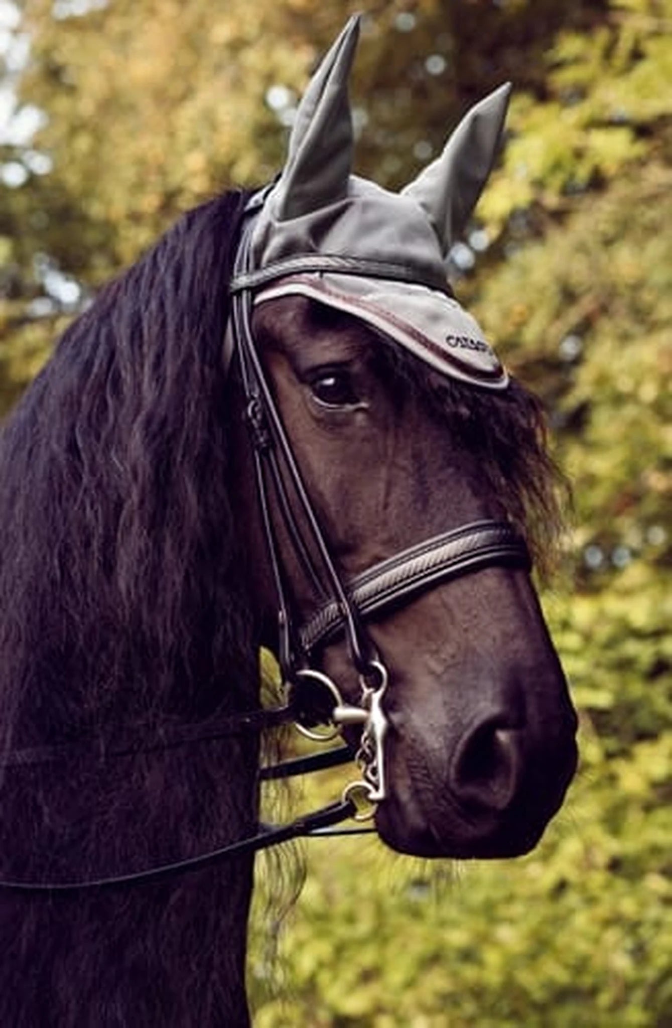 Catago 3D-Tech Double Bridle product photo