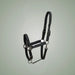 Catago Alea Halter on One-Eyed Equine branded background
