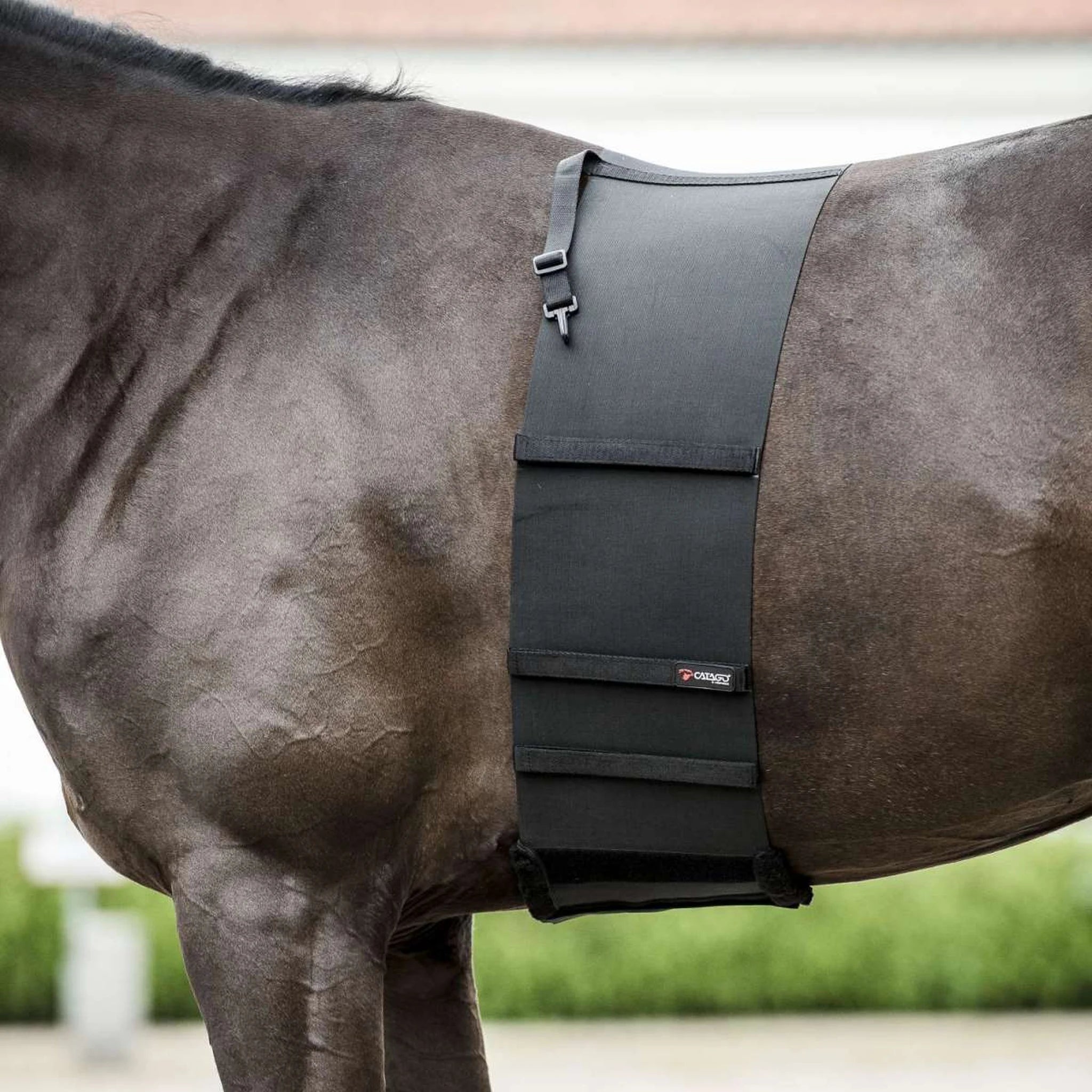 Catago Body Shield product photo