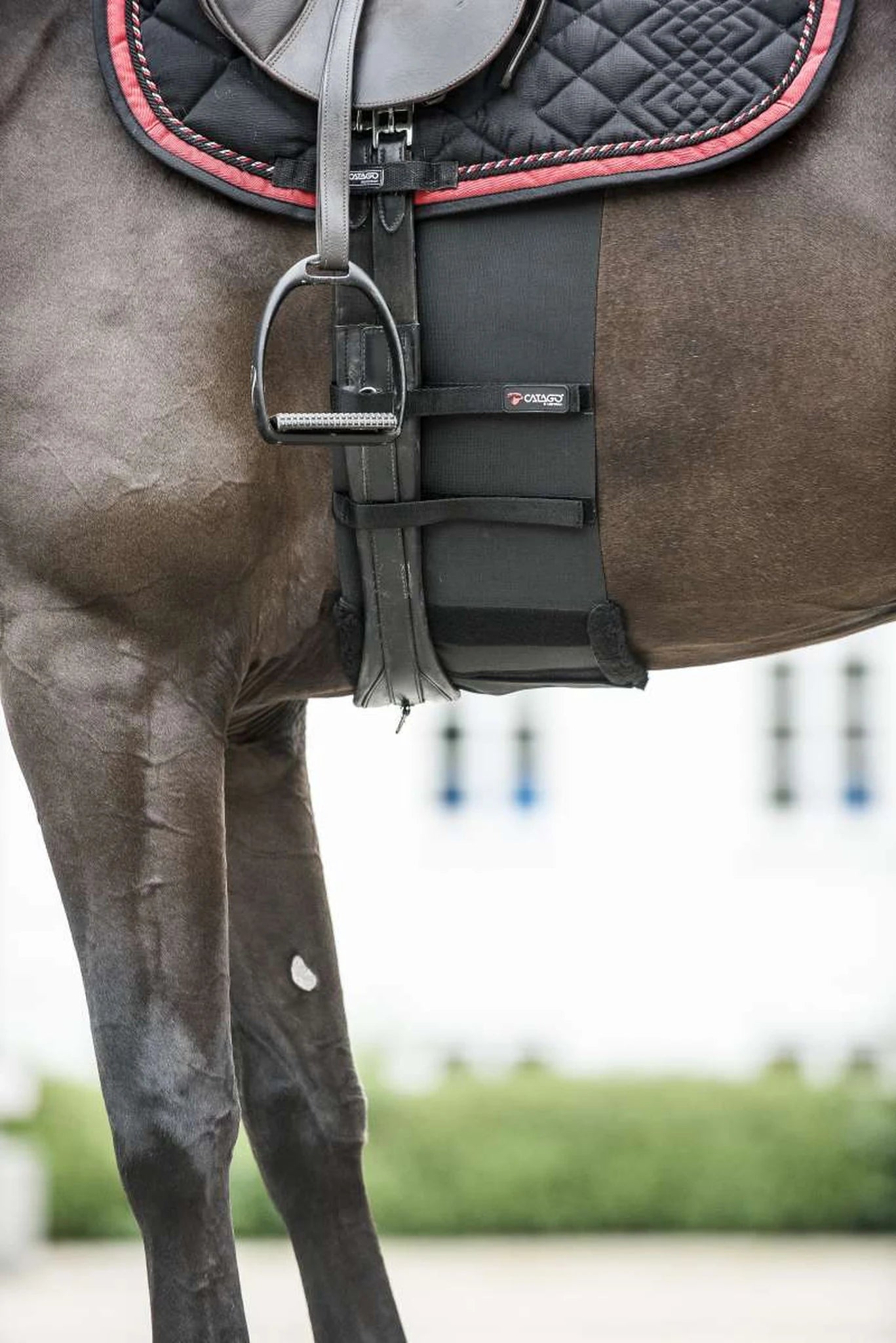 Catago Body Shield product photo