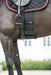 Catago Body Shield product photo