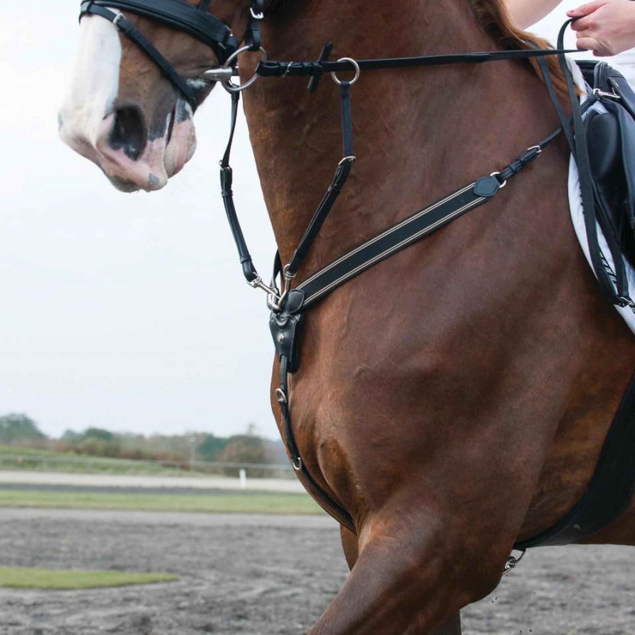 Catago Breastplate with Martingale - Black