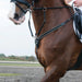 Catago Breastplate with Martingale - Black