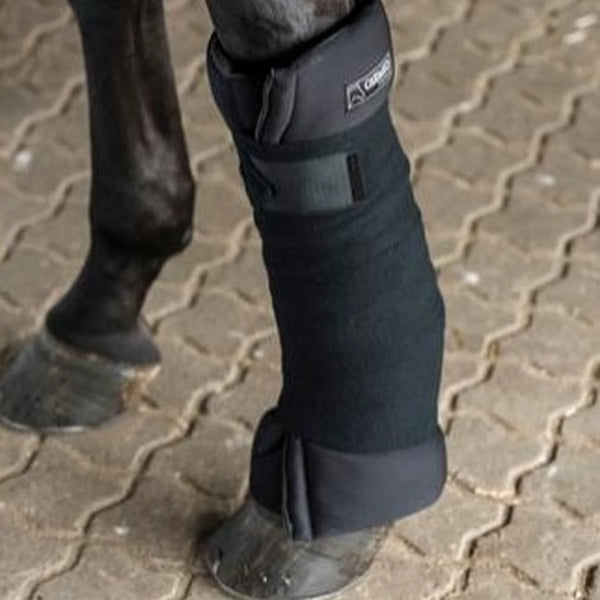 Catago Comfort Stable/Transport Pads