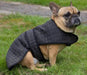 Catago Cooler Blanket for Dog product photo