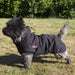 Catago FIR-Tech Dog Blanket product photo