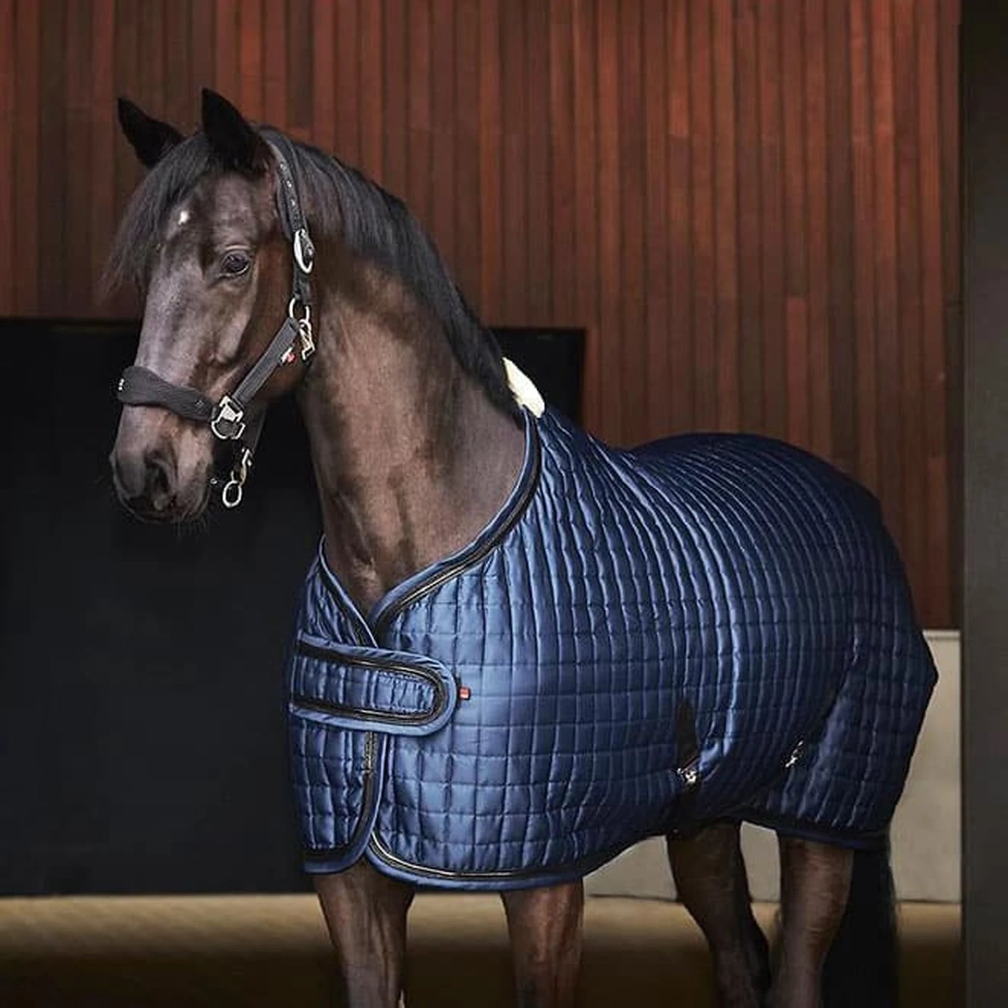 Catago FIR-Tech Elegant Show Blanket product photo