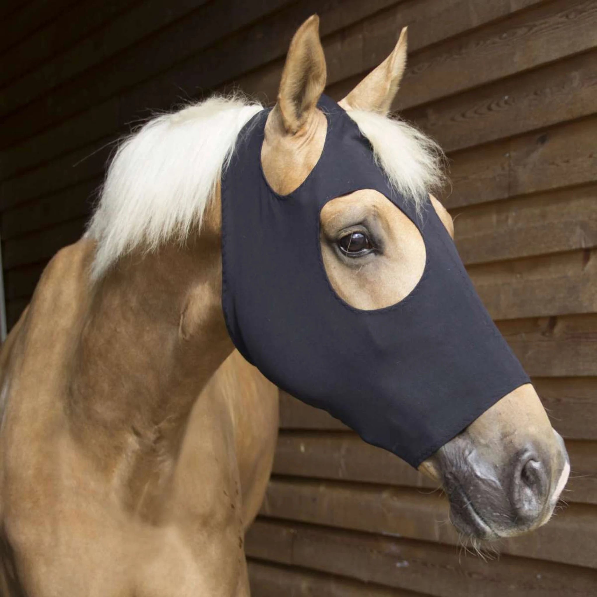 Catago FIR-Tech Face Mask product photo