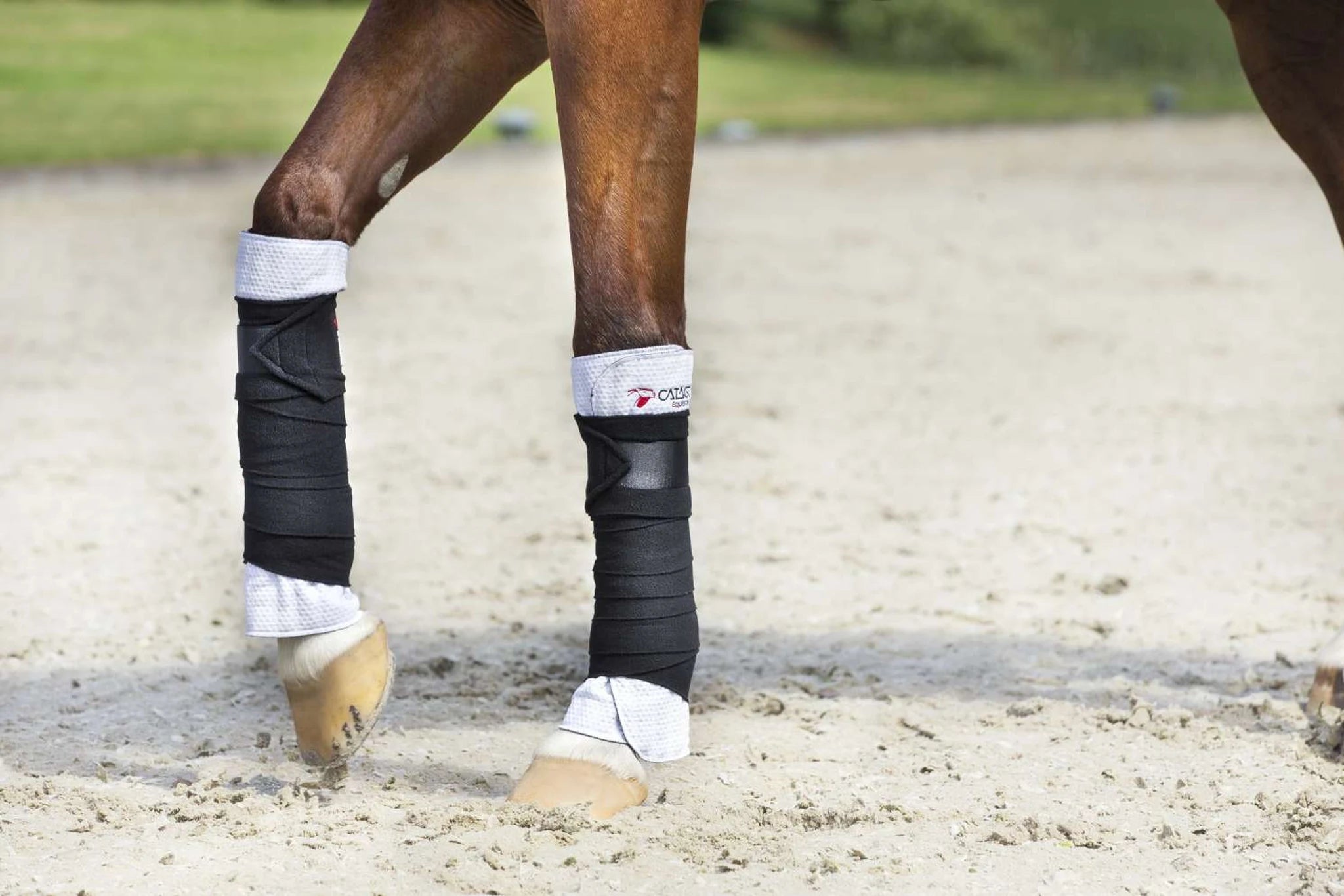 Catago FIR-Tech Leg Wraps product photo