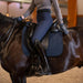 Catago FIR-Tech Performance Dressage Saddle Pad product photo