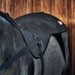 Catago FIR-Tech Pro infrared blanket fitted over a dark horse's back and shoulder.