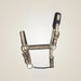 Catago Halter on One-Eyed Equine branded background