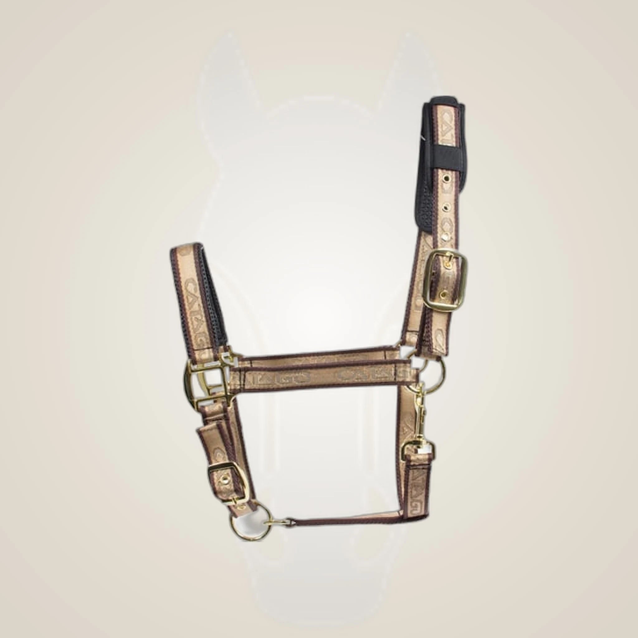 Catago Halter on One-Eyed Equine branded background