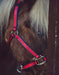 Catago Halter product photo