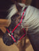 Catago Halter product photo