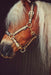 Catago Halter product photo