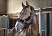 Catago Imitation Sheepskin Halter product photo