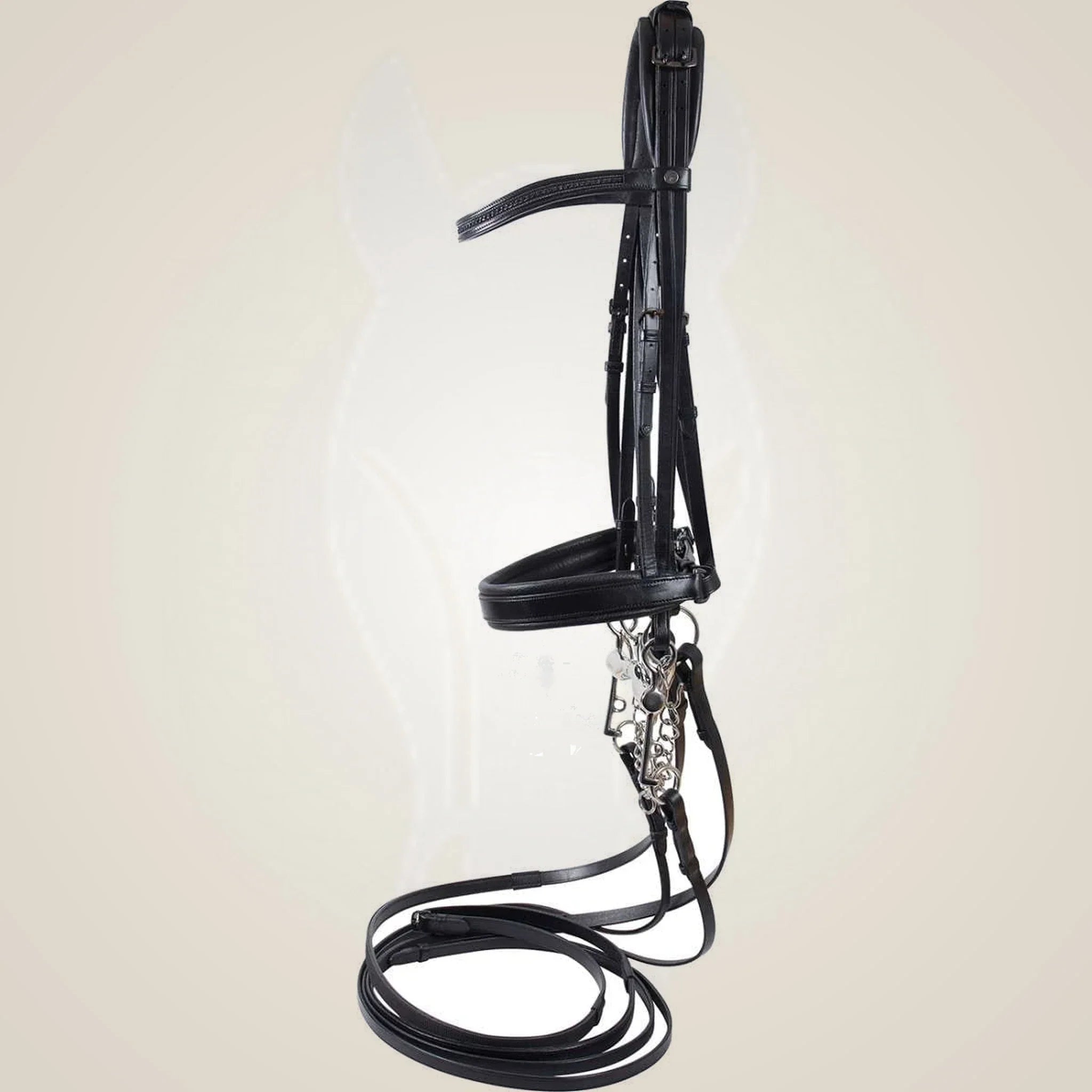 Catago Inspire double bridle in black Italian leather with both sets of reins.