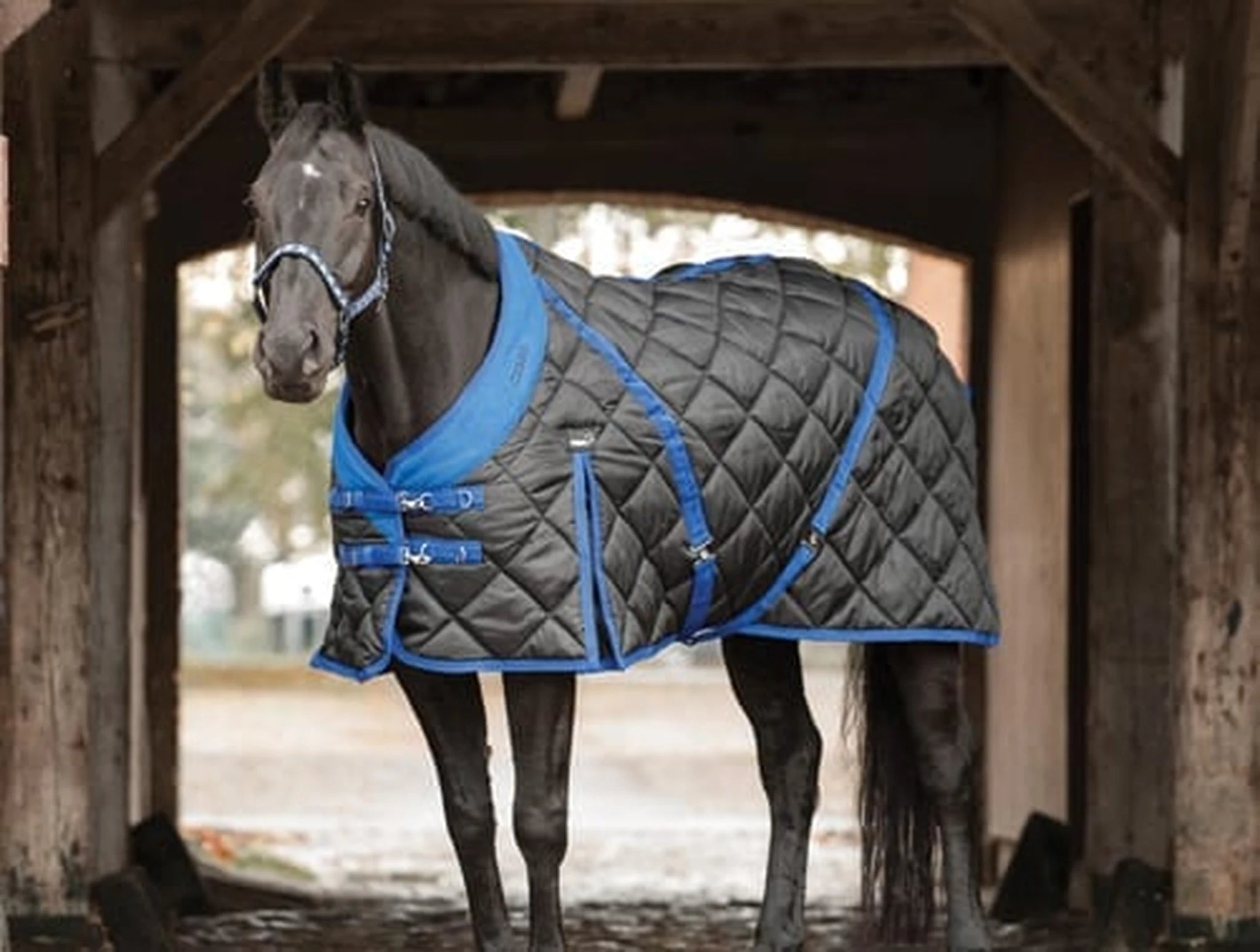 Catago Stable Blanket - 300g product photo