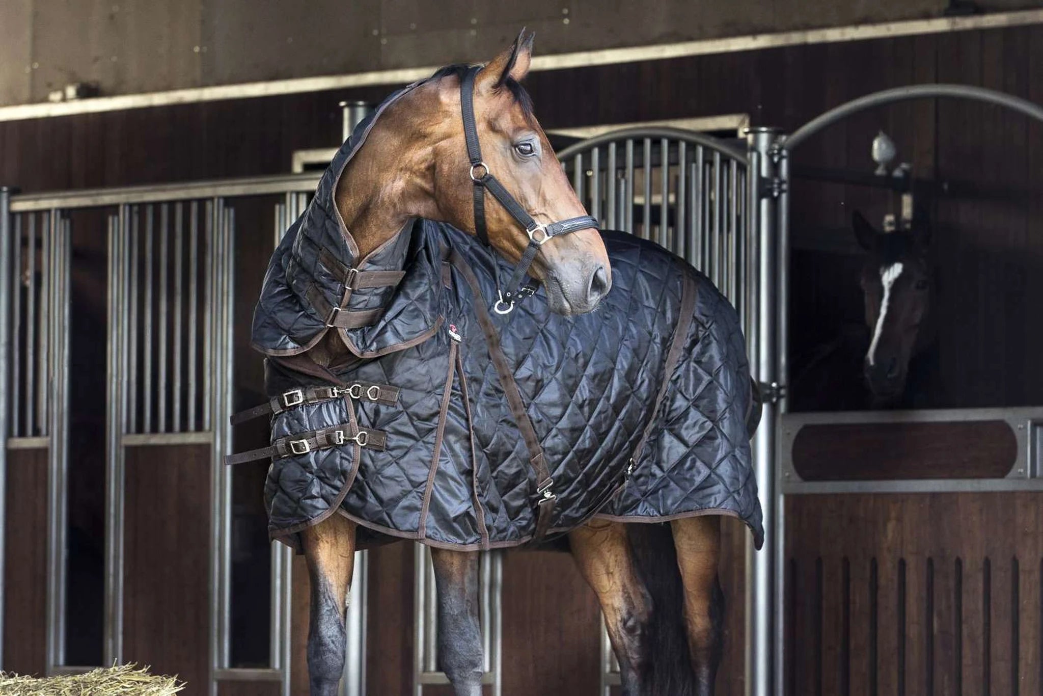 Catago Stable Blanket - 500g product photo