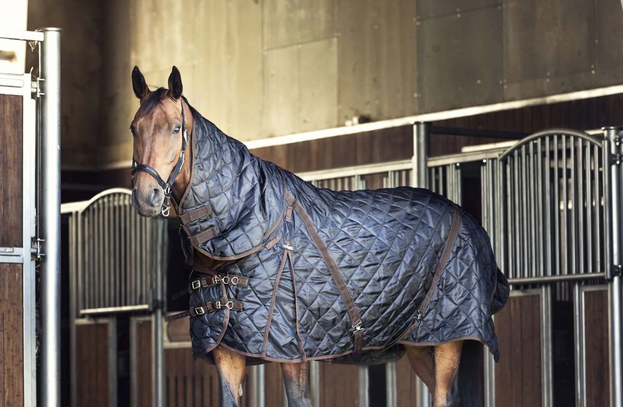 Catago Stable Blanket - 500g product photo