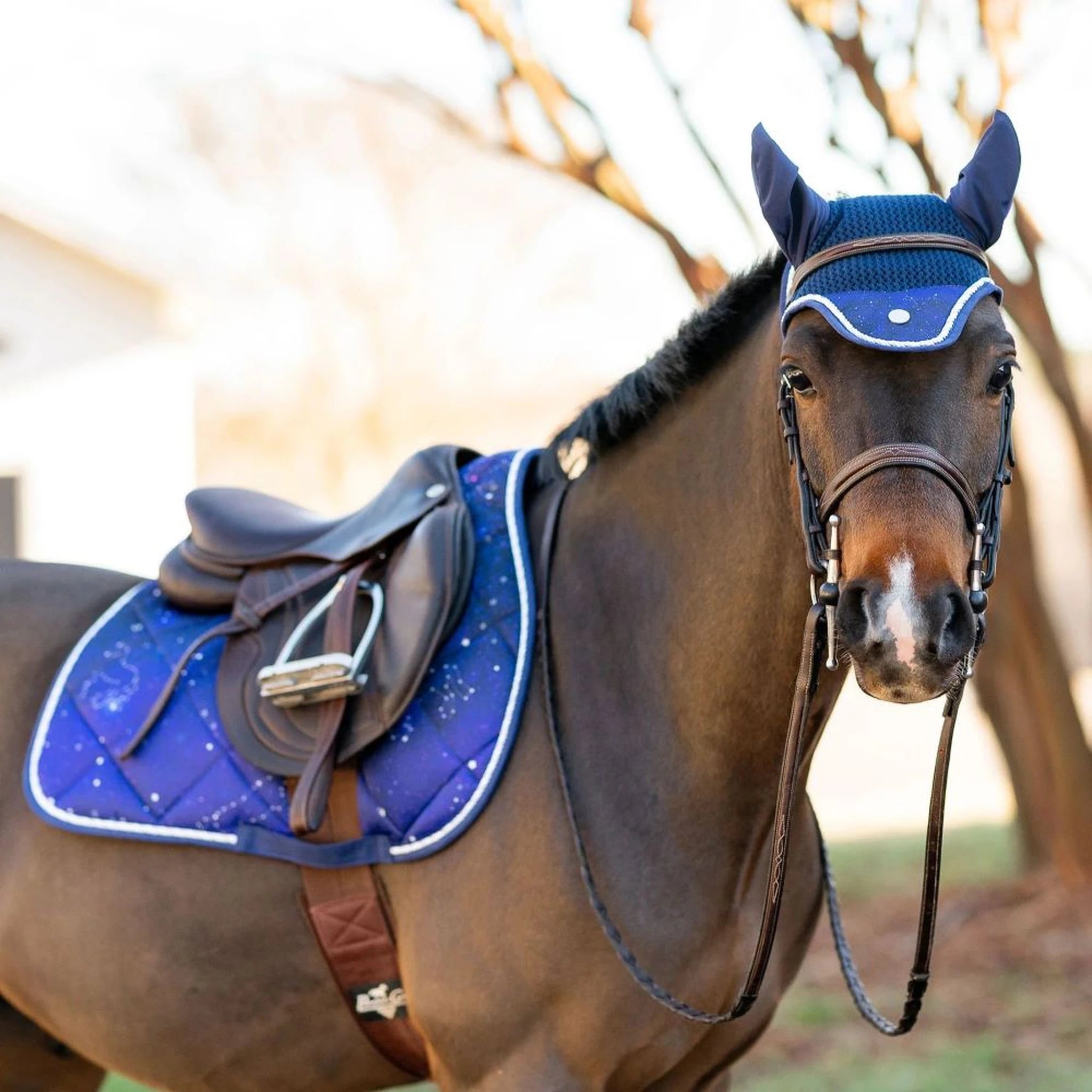 Dapplebay Constellation Pony Saddle Pad - Navy/Multi