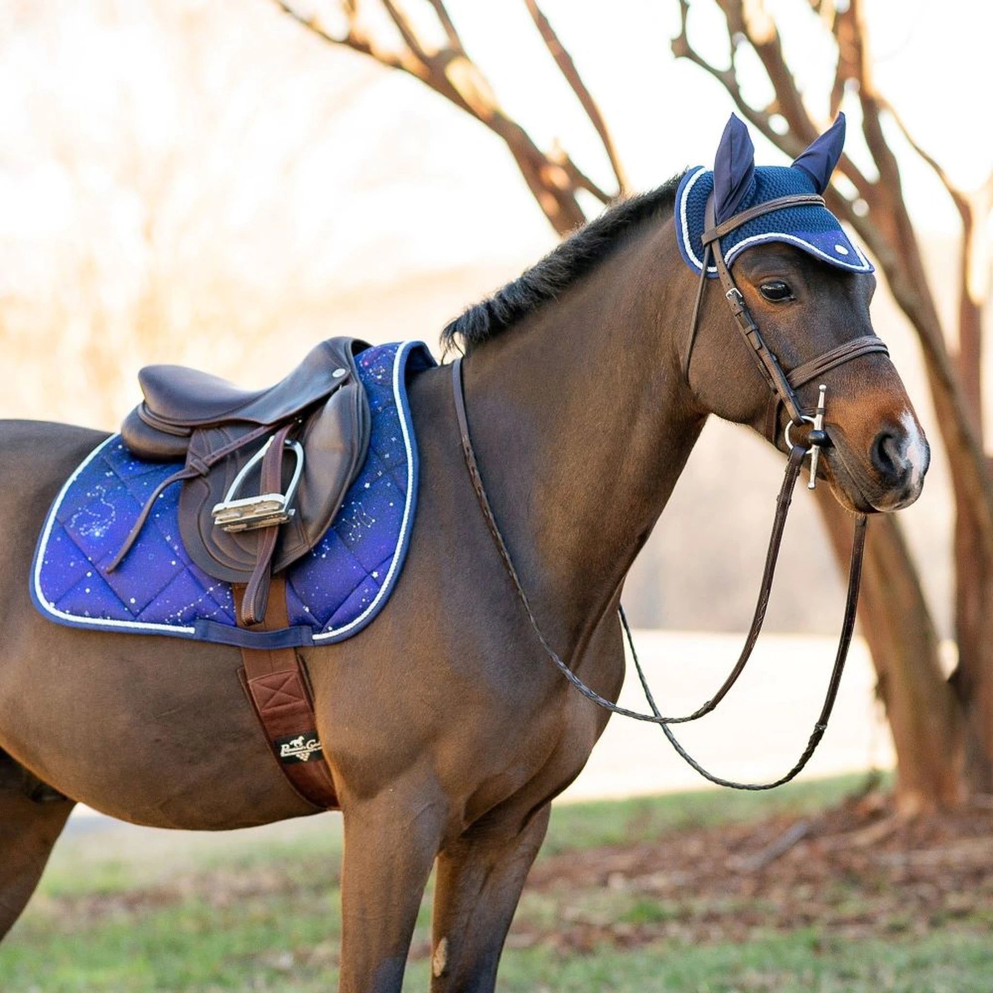Dapplebay Constellation Pony Saddle Pad - Navy/Multi