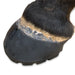 EasyCare Easyboot Glue-On - Black