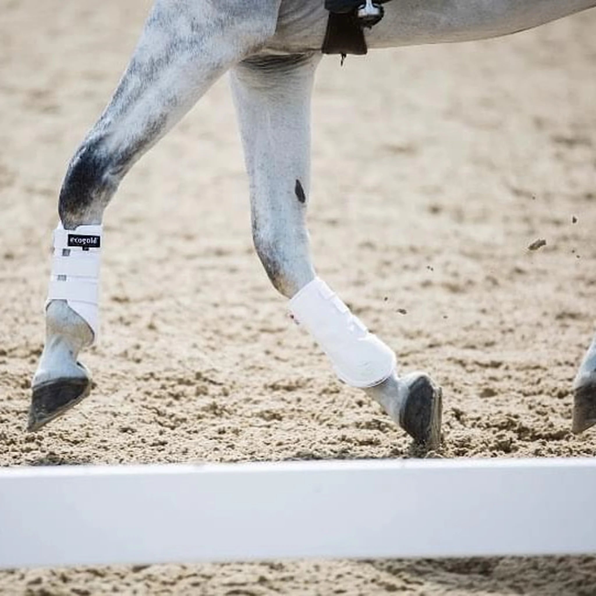 Ecogold Breathable Exercise Horse Boots