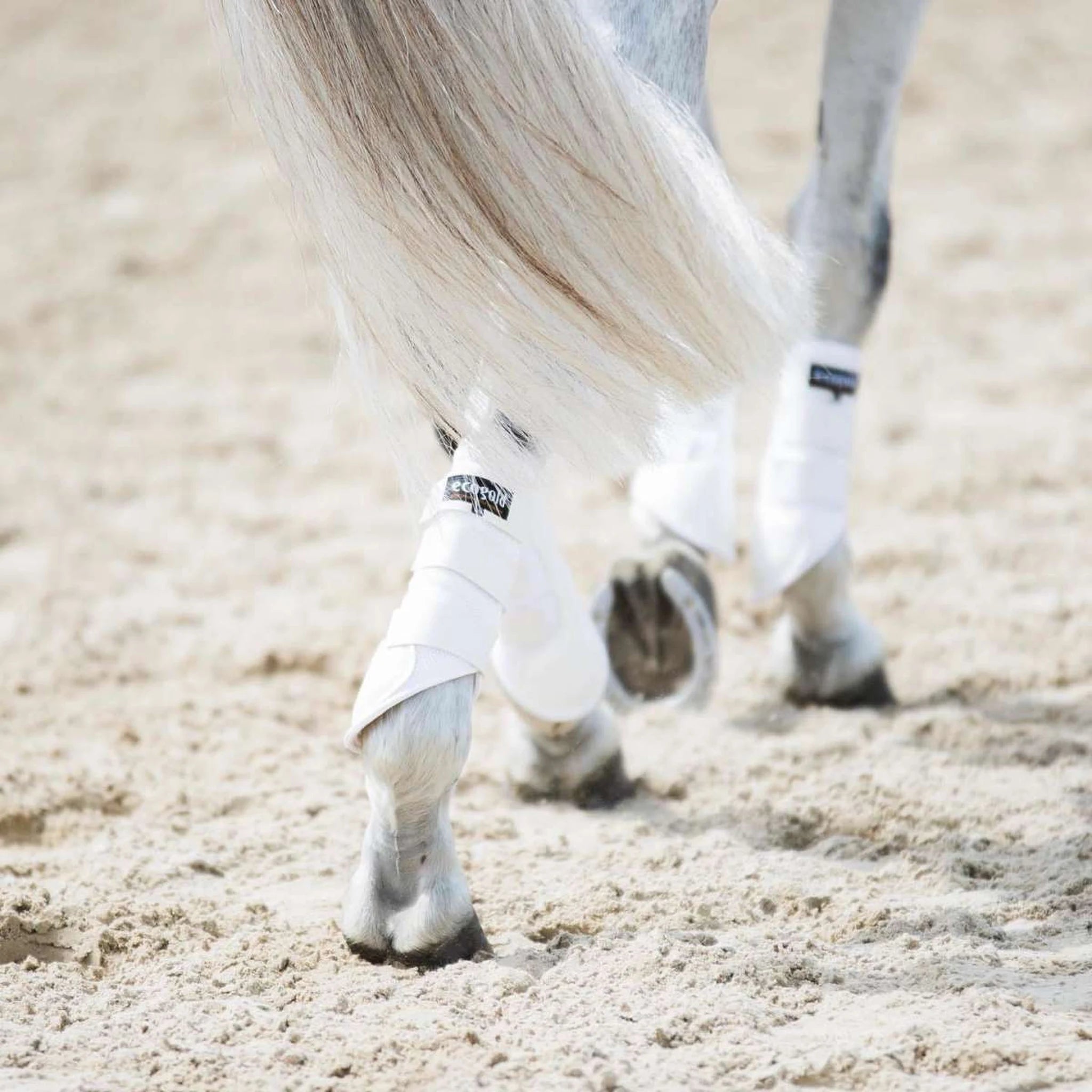 Ecogold Breathable Exercise Horse Boots